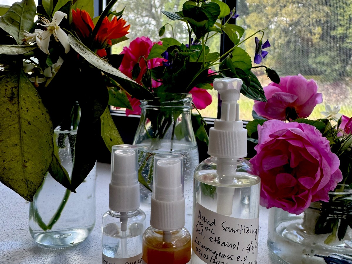 Botanical Skincare Retreat in Portugal: My&nbsp;Experience